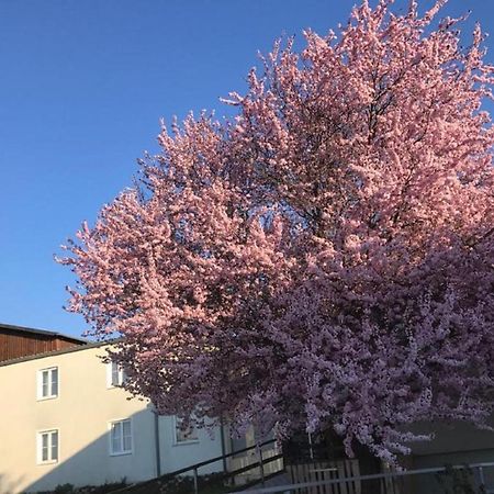 Landpension Gschwantner Lengenfeld Buitenkant foto