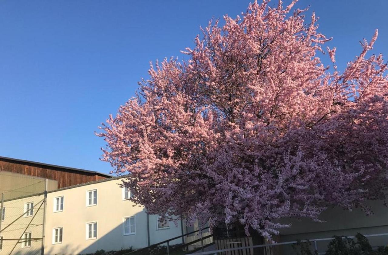 Landpension Gschwantner Lengenfeld Buitenkant foto